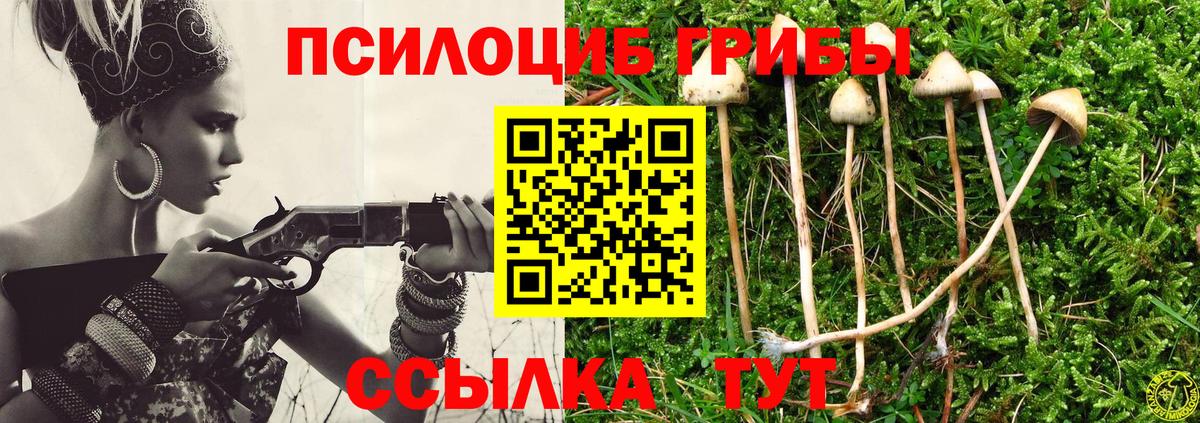 Галлюциногенные грибы прущие грибы Шатура