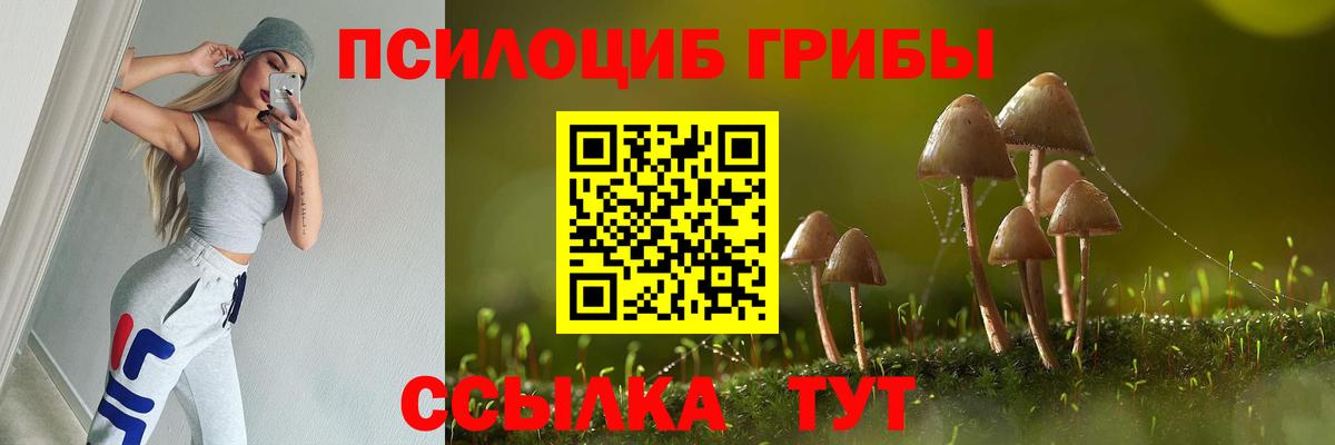 Псилоцибиновые грибы Psilocybine cubensis  Вход с VPN  Псилоцибиновые грибы Magic Shrooms  Шатура 